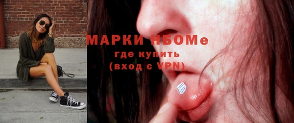 мдпв Богородск