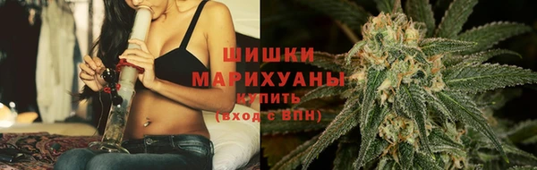 мдпв Богородск