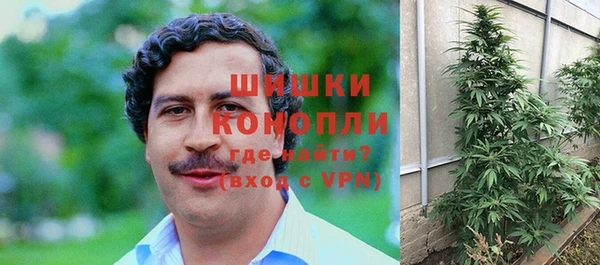 мдпв Богородск