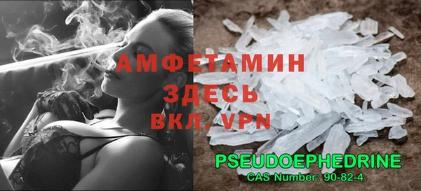 мдпв Богородск