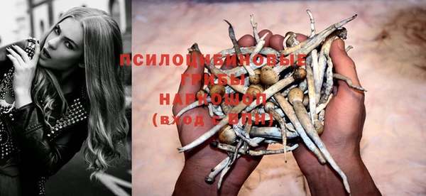 гидропоника Богородицк