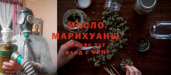 мдпв Богородск