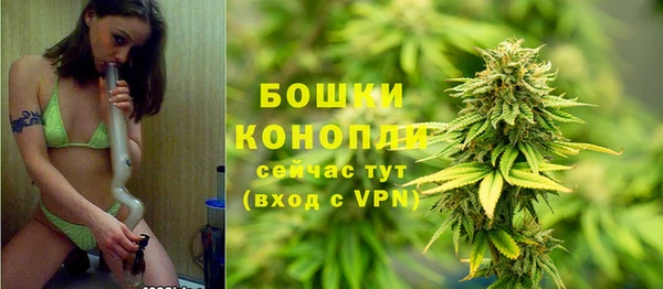 гидропоника Богородицк