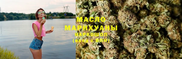 мдпв Богородск