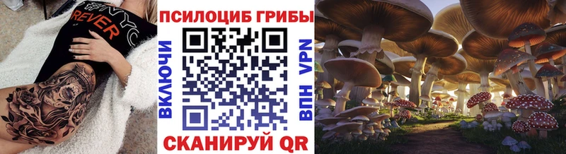 дарнет шоп  Горнозаводск  Псилоцибиновые грибы Cubensis 
